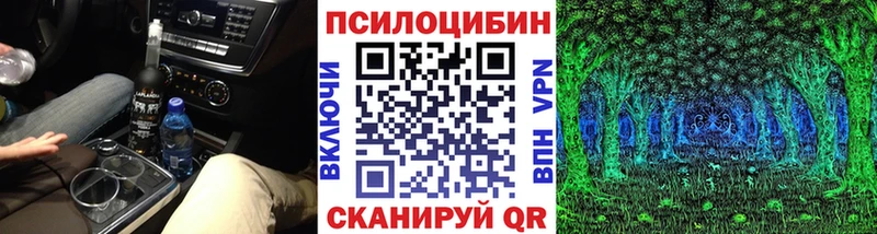 Купить Талдом Галлюциногенные грибы Psilocybine cubensis